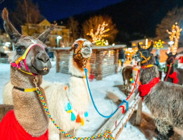 Gorski advent Mallnitz izimanija