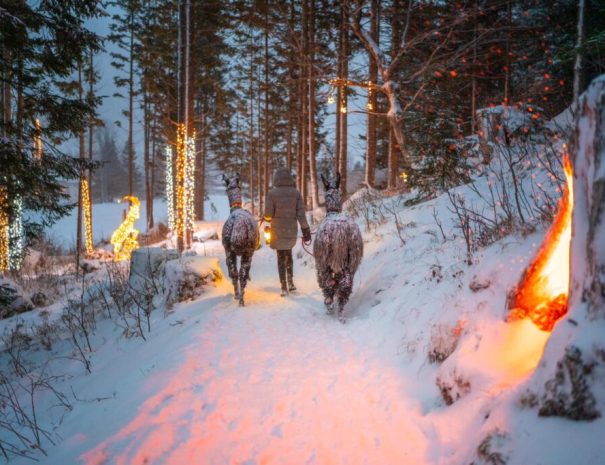 Gorski advent Mallnitz izimanija lame