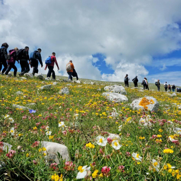 treking apulija izimanija gargano monte calvo